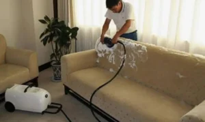 إزالة العث ومسببات الحساسية ؟